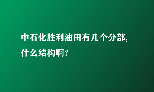 中石化胜利油田有几个分部,什么结构啊?