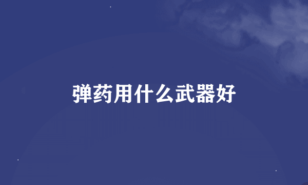 弹药用什么武器好