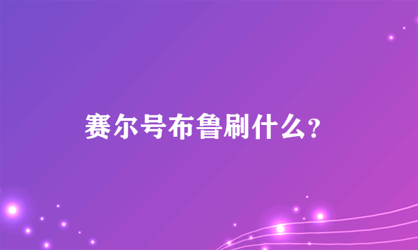 赛尔号布鲁刷什么？