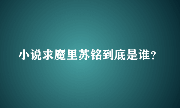 小说求魔里苏铭到底是谁？