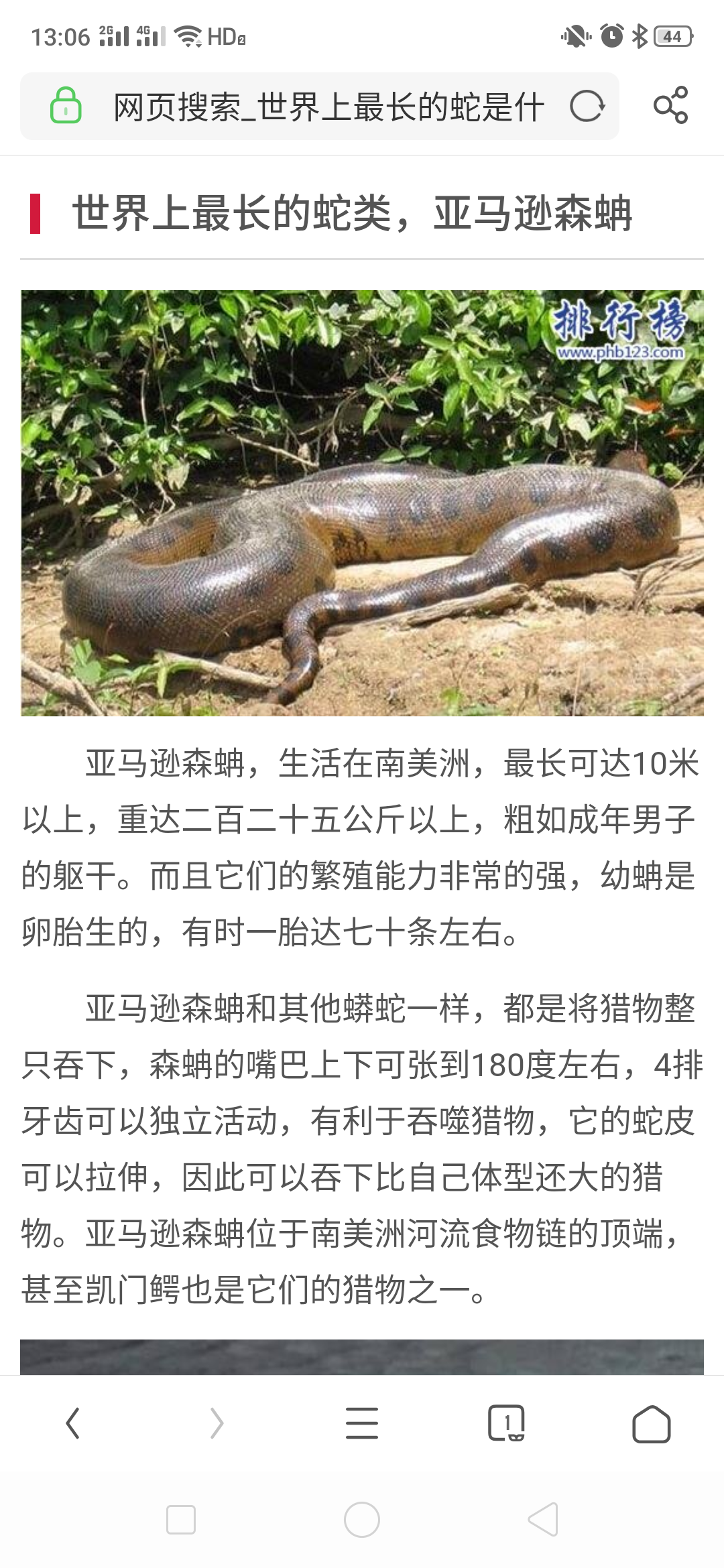 世界上最长的蛇？