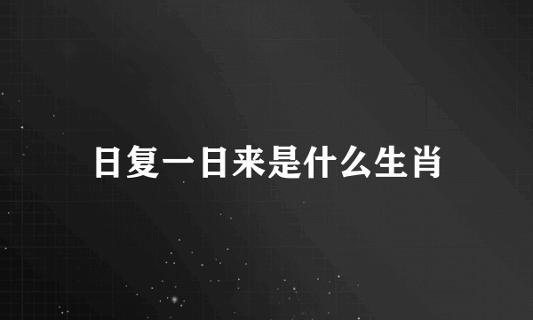 日复一日来是什么生肖