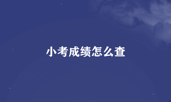 小考成绩怎么查
