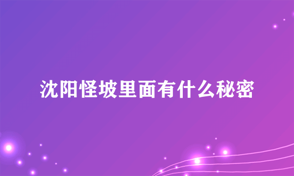 沈阳怪坡里面有什么秘密