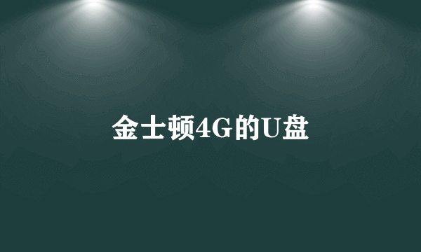 金士顿4G的U盘