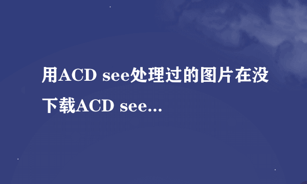 用ACD see处理过的图片在没下载ACD see的电脑上是否能显示