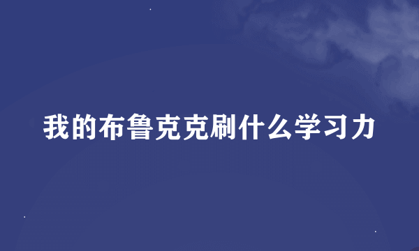 我的布鲁克克刷什么学习力