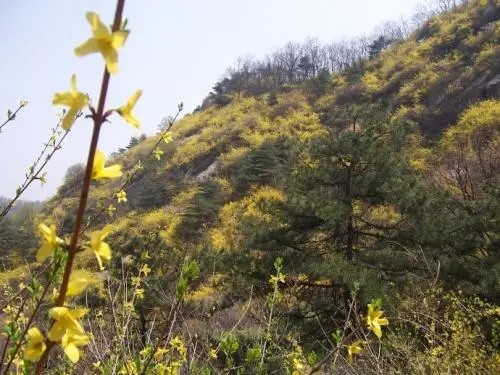 黄组成叠词,如黄橙橙,黄灿灿.还有黄什么什么?哪些?