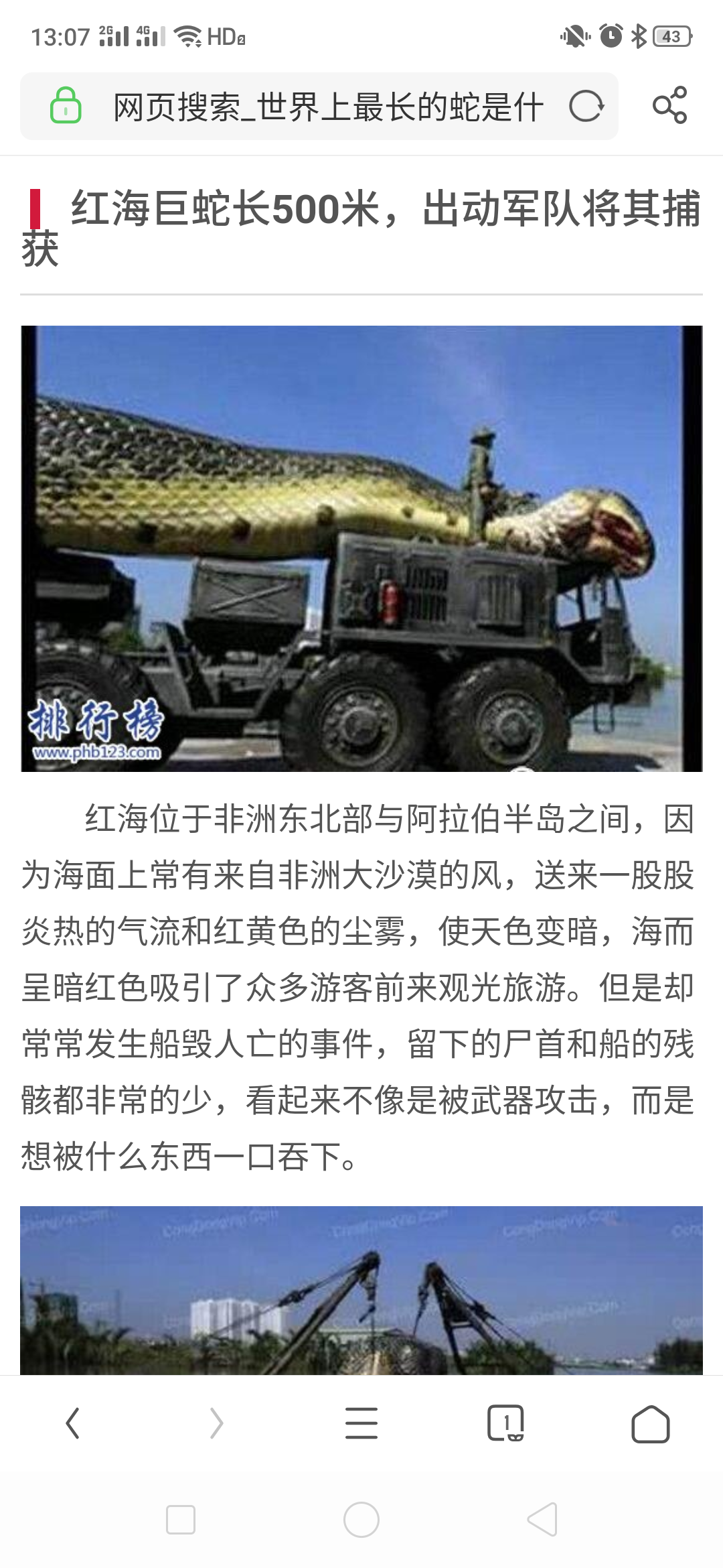世界上最长的蛇？