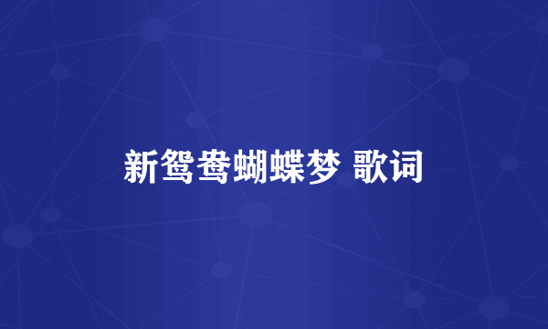 新鸳鸯蝴蝶梦 歌词