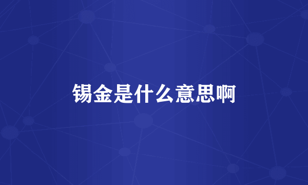 锡金是什么意思啊