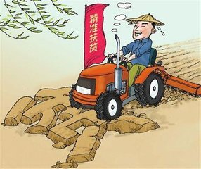 2017农村贫困户标准