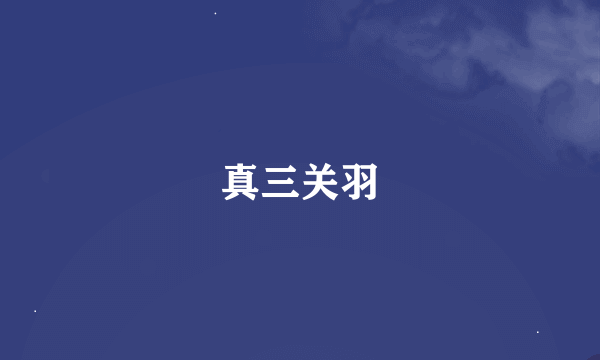 真三关羽
