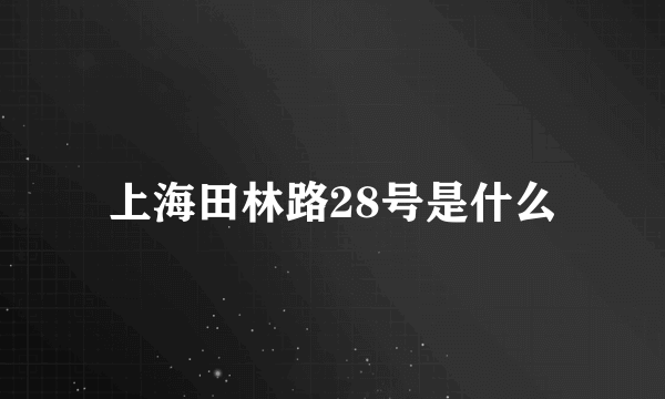 上海田林路28号是什么