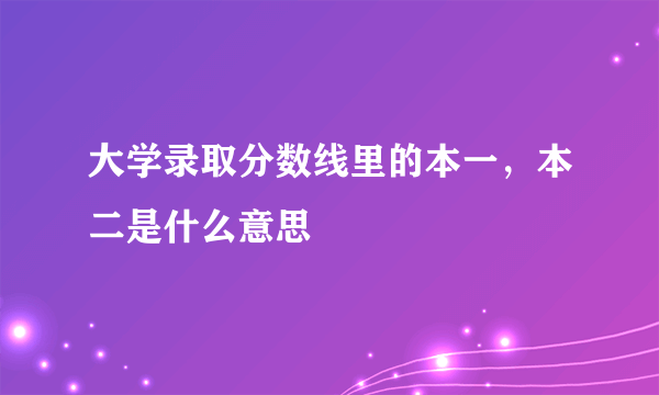 大学录取分数线里的本一，本二是什么意思