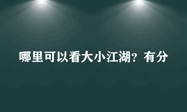 哪里可以看大小江湖？有分