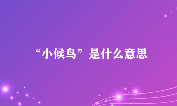 “小候鸟”是什么意思