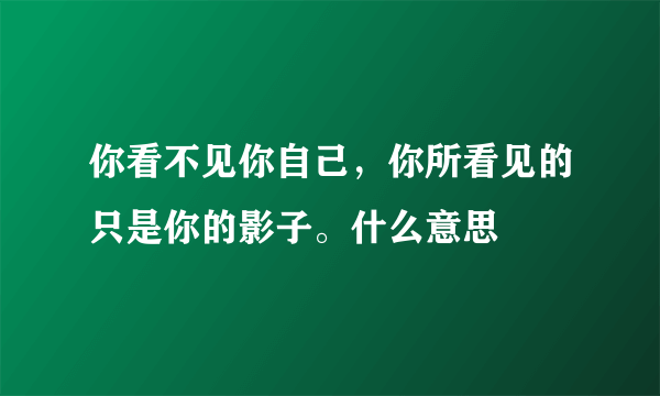 你看不见你自己，你所看见的只是你的影子。什么意思