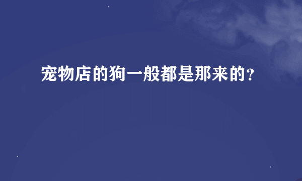 宠物店的狗一般都是那来的？