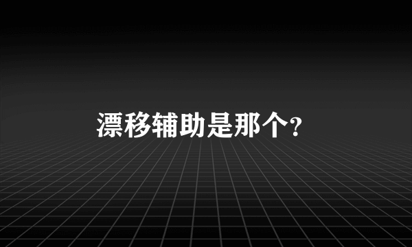 漂移辅助是那个？