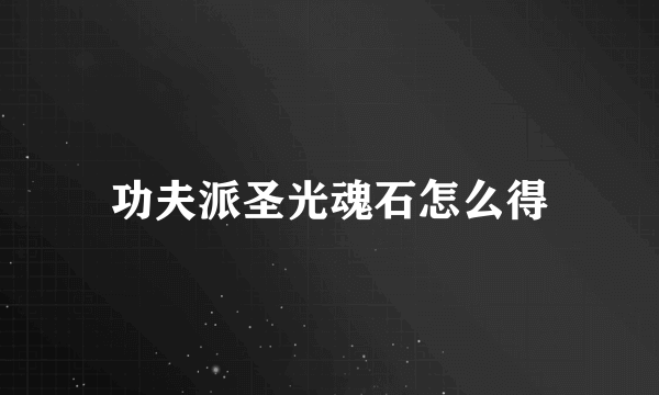 功夫派圣光魂石怎么得
