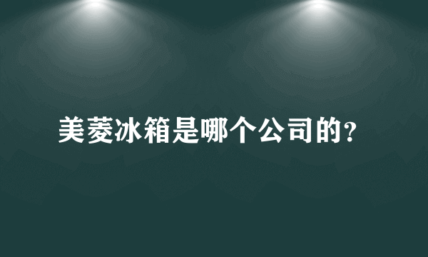 美菱冰箱是哪个公司的？
