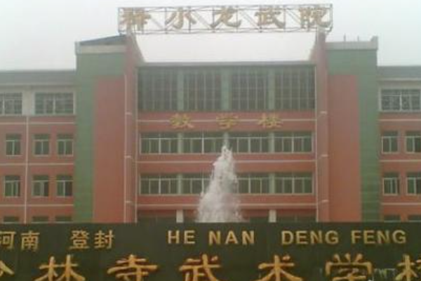 中国十大武术学校是那十个?