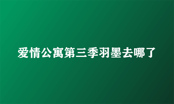 爱情公寓第三季羽墨去哪了