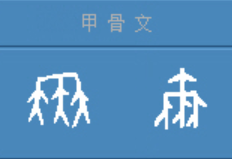 甲骨文的你怎么写