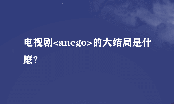 电视剧<anego>的大结局是什麽?