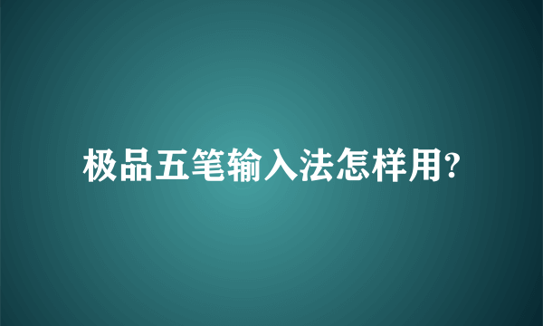 极品五笔输入法怎样用?