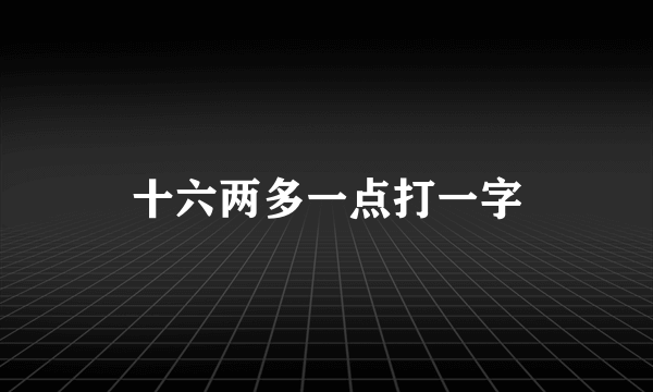 十六两多一点打一字