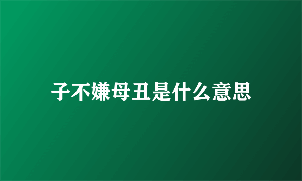 子不嫌母丑是什么意思