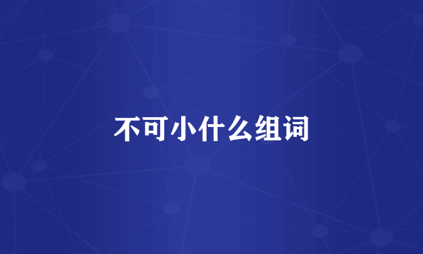 不可小什么组词