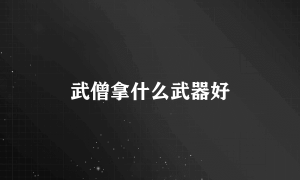 武僧拿什么武器好