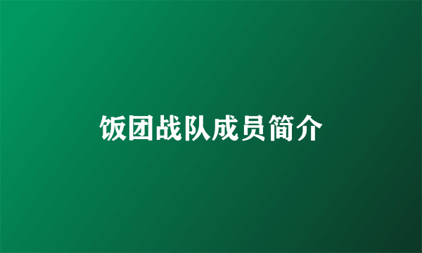 饭团战队成员简介