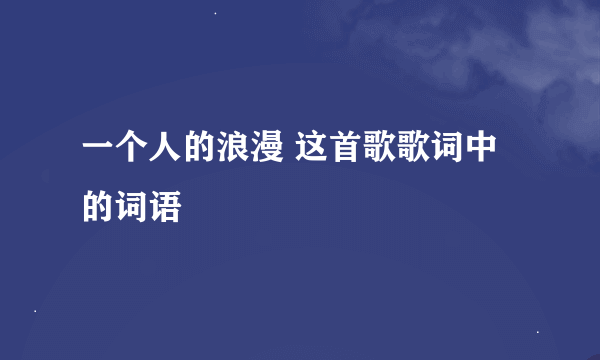 一个人的浪漫 这首歌歌词中的词语
