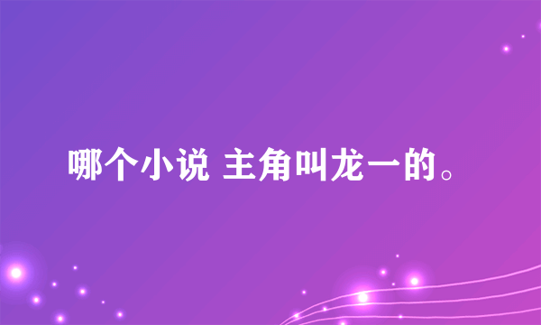 哪个小说 主角叫龙一的。