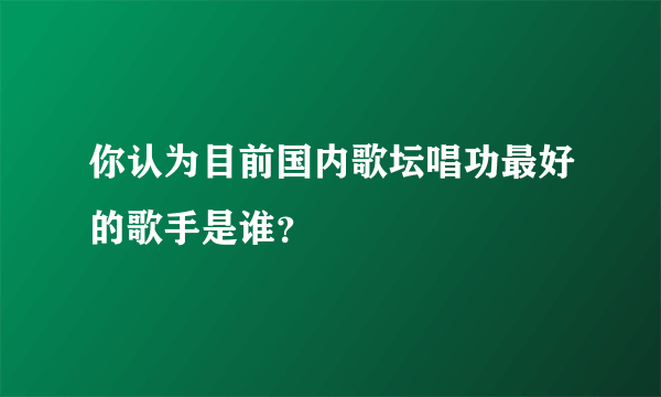 你认为目前国内歌坛唱功最好的歌手是谁？