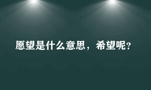 愿望是什么意思，希望呢？