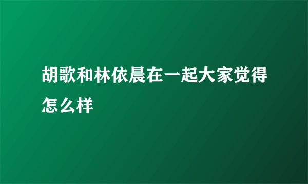 胡歌和林依晨在一起大家觉得怎么样