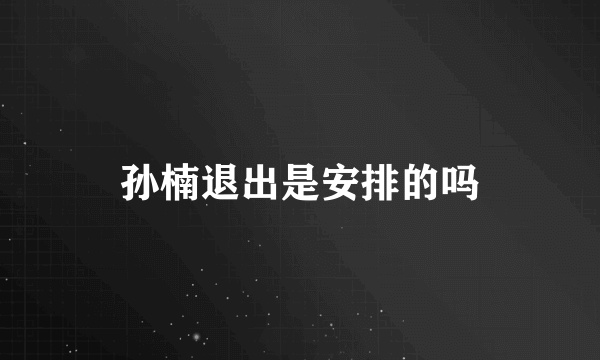 孙楠退出是安排的吗