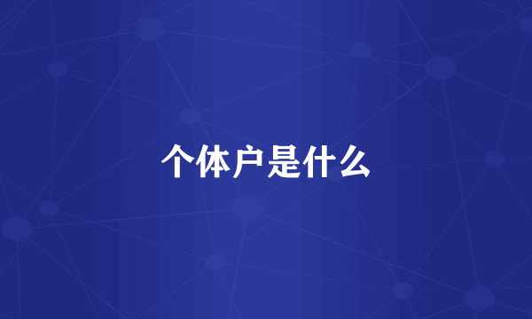 个体户是什么