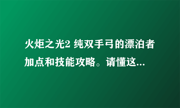 火炬之光2 纯双手弓的漂泊者加点和技能攻略。请懂这个的回答，网上看了很多玩双枪的，感觉不一样。