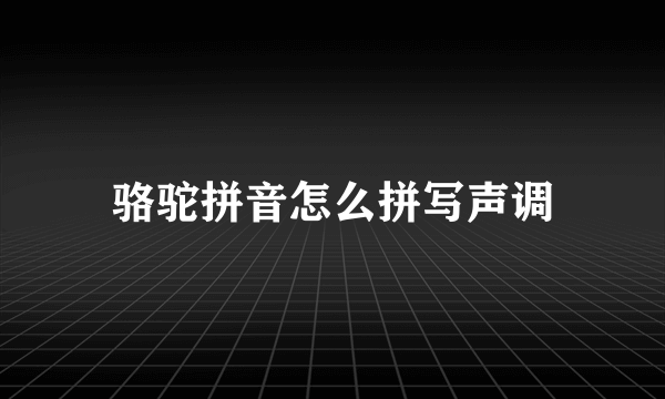 骆驼拼音怎么拼写声调