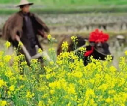 春分要做什么，春分要干嘛，春分民俗活动