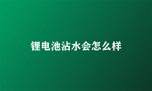 锂电池沾水会怎么样