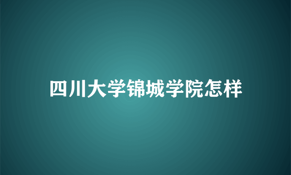 四川大学锦城学院怎样