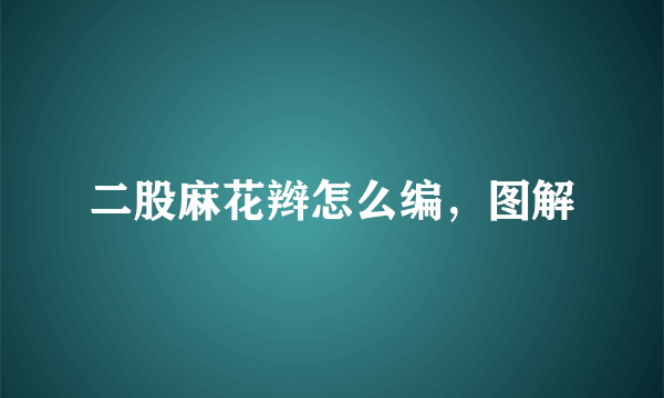 二股麻花辫怎么编，图解