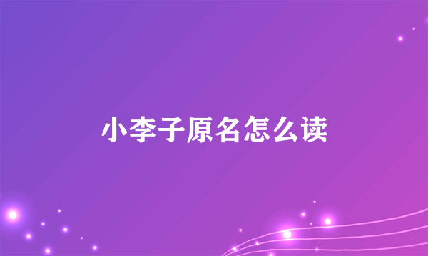 小李子原名怎么读